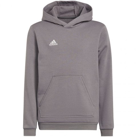 Bluza adidas Entrada 22 Hoody Jr H57515