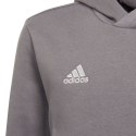 Bluza adidas Entrada 22 Hoody Jr H57515