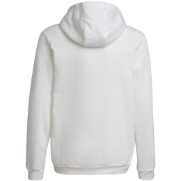 Bluza adidas Entrada 22 Hoody Jr HG6303