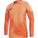 Koszulka bramkarska Nike Gardien IV Goalkeeper JSY M DH7967 819