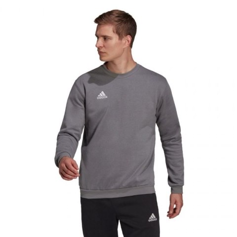 Bluza adidas Entrada 22 Sweat Top M H57479