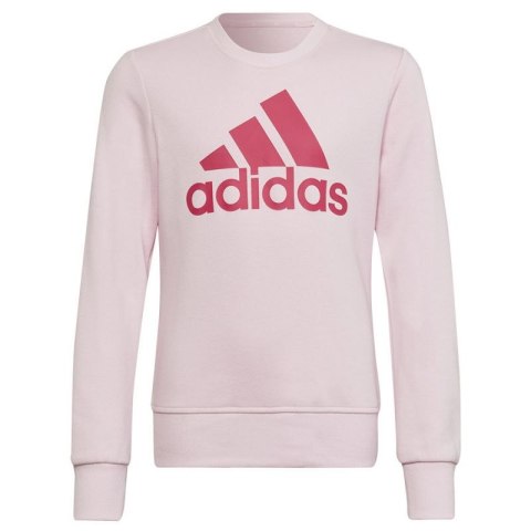 Bluza adidas Big Logo SWT Jr HM8709