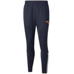 Spodnie Puma teamLIGA Training Pants M 657242 47