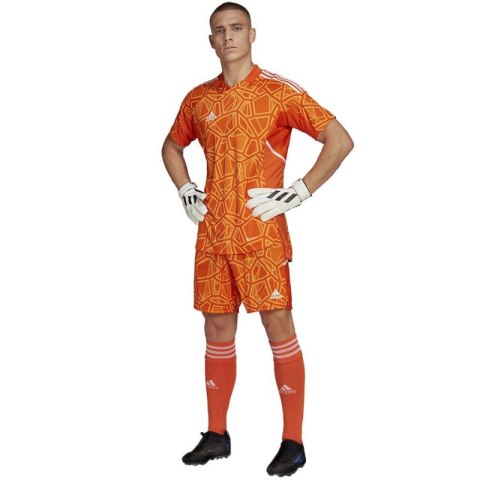 Koszulka adidas Condivo 22 Goalkeeper Jersey Short Sleeve M HB1621 Koszulka adidas Condivo 22 Goalkeeper Jersey Short Sleeve M HB1621