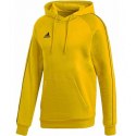 Bluza piłkarska adidas Core 18 Hoody M FS1896