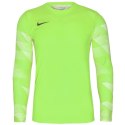 Koszulka Nike Dry Park IV JSY LS GK Jr CJ6072-702