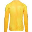 Koszulka bramkarska Nike Gardien IV Goalkeeper JSY M DH7967 719