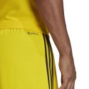 Spodenki adidas Tiro 23 League M IB8085