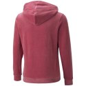 Bluza Puma Ess + Velour Hoodie G Jr 671040 45