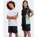 Spodenki adidas Future Icons Logo 8 Inch Shorts Jr HR6306