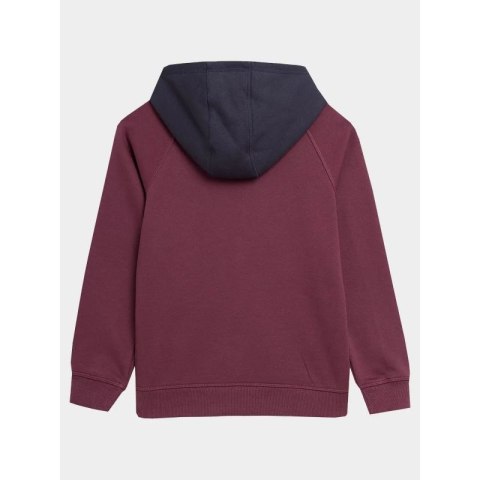 Bluza 4F Jr 4FJAW23TSWSM651-60S Bluza 4F Jr 4FJAW23TSWSM651-60S