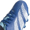 Buty piłkarskie adidas Predator Accuracy.4 FxG M GZ0010