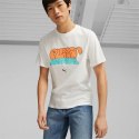 Koszulka Puma Graffiti Tee M 622513 02