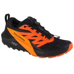 Buty do biegania Salomon Sense Ride 5 GTX M 471473