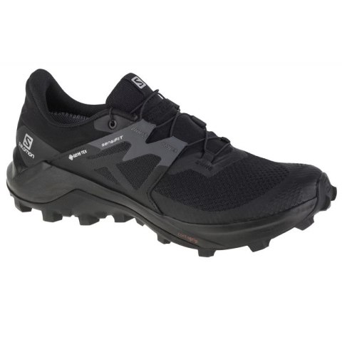 Buty do biegania Salomon Wildcross 2 GTX M 414554