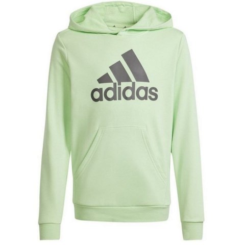 Bluza adidas Big Logo Hoodie Jr IS2591