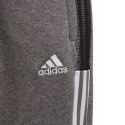 Spodnie adidas Tiro 21 Sweat Jr GP8809