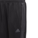 Spodnie adidas Tiro Track Pant CU Jr GN5495