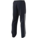 Spodnie adidas Essentials Samson Joggers M EE2326