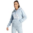 Bluza adidas Essentials Big Logo Regular Fleece Hoodie W IR9329