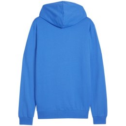 Bluza Puma Team Goal Casuals Hoody M 658618 02