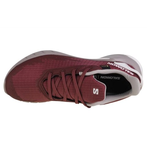 Buty do biegania Salomon Alphacross 4 GTX W 471174 Buty do biegania Salomon Alphacross 4 GTX W 471174