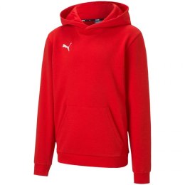 Bluza Puma teamGOAL 23 Casuals Hoody Jr 656711 01