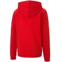 Bluza Puma teamGOAL 23 Casuals Hoody Jr 656711 01