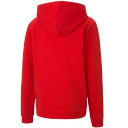 Bluza Puma teamGOAL 23 Casuals Hoody Jr 656711 01