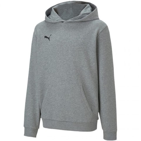 Bluza Puma teamGOAL 23 Casuals Hoody Jr 656711 33