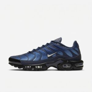 Buty NIKE AIR MAX PLUS Blue Hex granatowe niebieskie DC1935-400