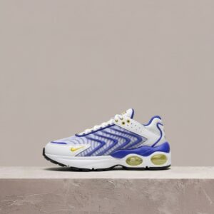 Nike Air Max TW Racerblue, drop unisex, niebiesko-biała kolorystyka, siatka na wierzchu, DQ3984-100