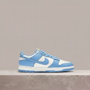 Dunk Low Coast od Nike, unisex, biało-błękitny colorway, dwukolorowy blokowy układ rodem z 1985, must have kolekcjonera DD1503-100