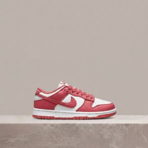 Nike Dunk Low Archeo Pink, biało-różowa sylwetka, skóra, naszywki, pivot circle, drop 2021, unisex, DD1503-111