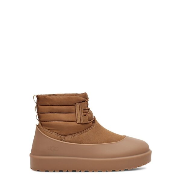 REF_P1-1562.jpg